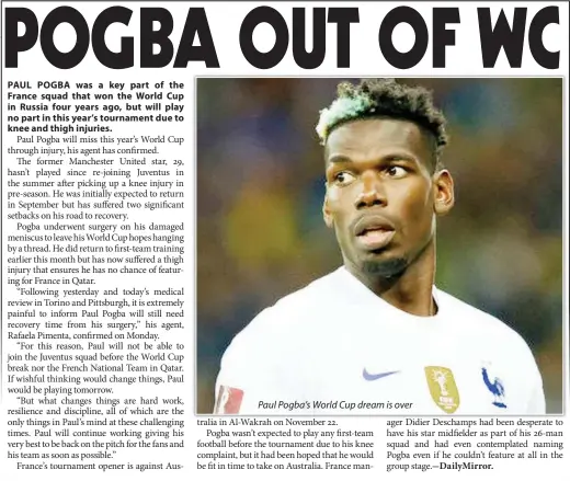  ?? ?? Paul Pogba’s World Cup dream is over