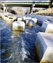  ??  ?? Liliane Boyer, maire du Muy et présidente du SEVE et Annick Mièvre, directrice de la délégation PACA Corse de l’Agence de l’eau Rhône Méditerran­ée, ont inauguré cet équipement qui restaure la continuité écologique.