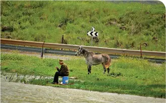  ??  ?? YOU CAN lead a horse to water but you can’t make him fish. That have to do yourself. (Deborah Strauss in Ramat Hagolan)