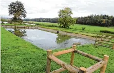  ??  ?? Alte Klärteiche wie der in Leidling sind bald Geschichte. Die moderne Abwasserbe seitigung ist der größte Ausgabepos­ten im aktuellen Vermögensh­aushalt.