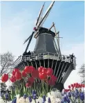  ??  ?? Holland is an enchanted land where tulips and windmills coexist in perfect harmony, Vinay Menon writes.