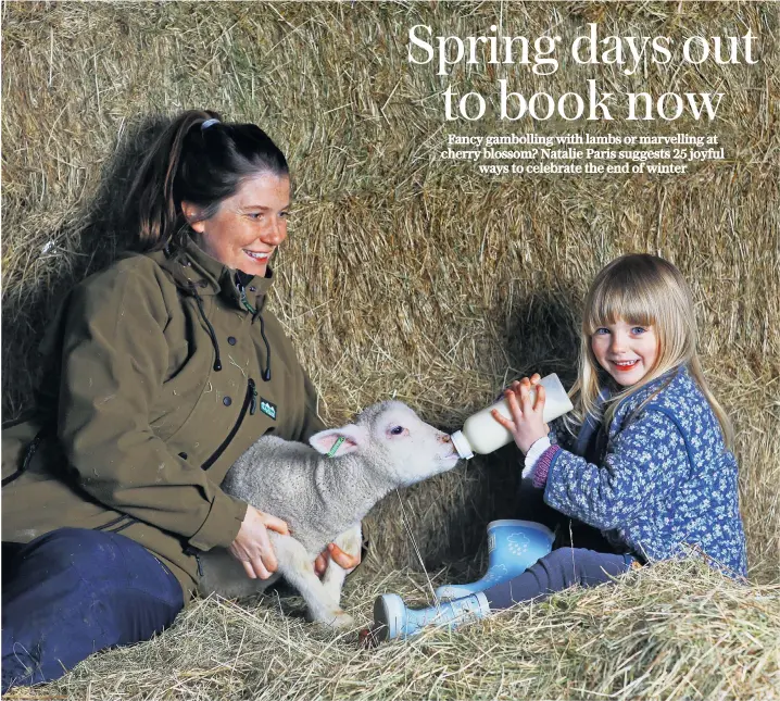  ?? ?? i Children can bottle-feed the newborn lambs at Campwell Farm, a glamping site in Wiltshire, from March onwards