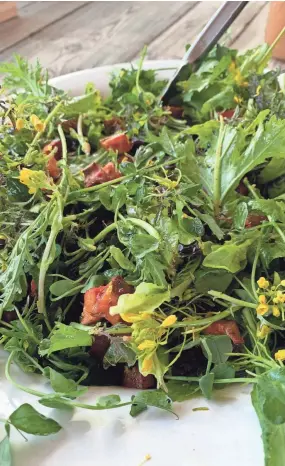  ?? FRANKLINTO­N FARMS ?? Microgreen­s make excellent additions to salads.