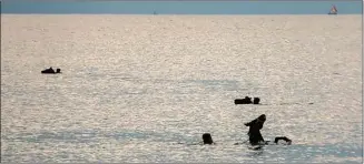  ?? IVAN/LOMBOK POST/JPG ?? TRADISI: Sejumlah pemuda membawa kuda berenang di Pantai Selingkuh, Ampenan, Mataram, Rabu (15/11).