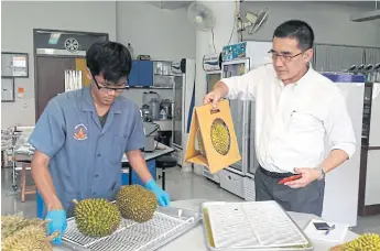  ??  ?? Assoc Prof Voraphat has been able to extend the useful life of durian, creating greater marketing opportunit­ies.