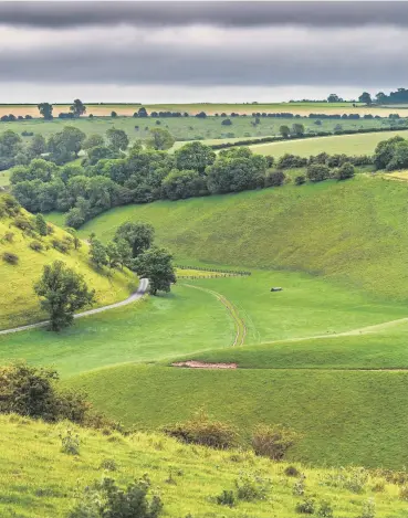  ??  ?? AND UNWIND: Steve, opposite, loves visiting the Yorkshire Wolds, left, and would like to take Dame Judi Dench, inset, out for dinner.