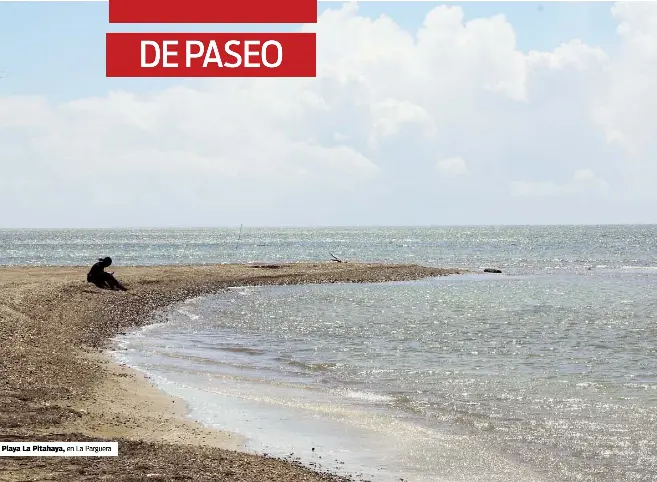 Más allá de la piña cabezona - PressReader