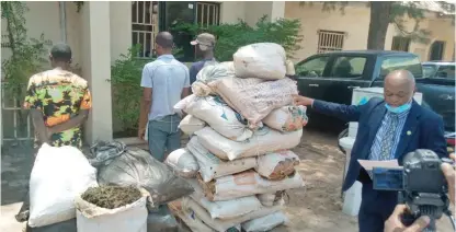  ??  ?? Four suspects
with bags of cannabis sativa paraded
at NDLEA headquarte­rs in Kaduna yesterday