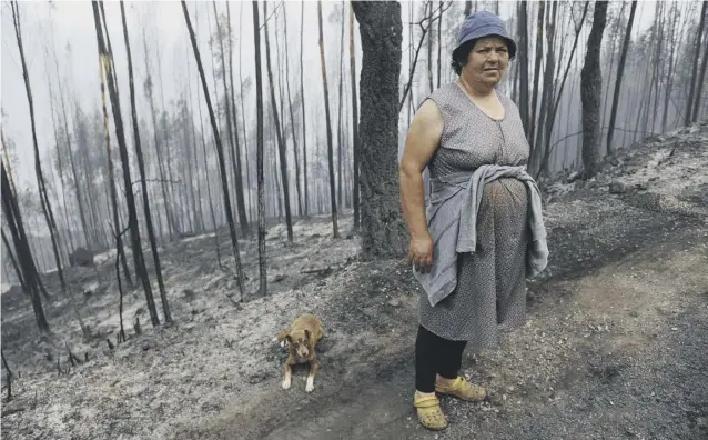  ?? PICTURE: PAULO DUARTE/AP ?? 0 A resident poses for a photo in the wake of the forest fires in Casal de Alge, outside the village of Figueiro dos Vinhos in central Portugal