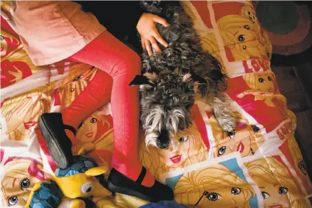  ?? Esteban Felix / Associated Press ?? A transgende­r girl named Luna plays with her dog on a Barbie-themed bedspread at her home in the capital, Santiago.