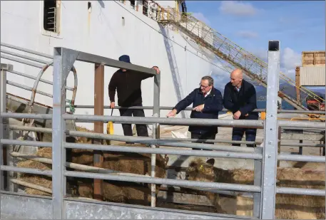  ??  ?? Kevin Kinsella, IFA Director of Livestock and IFA Livestock Chairman Angus Woods viewing the loading of a boat of cattle going to Turkey.