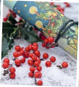  ??  ?? Die Menü-Karte fürden Weihnachts­schmauswir­dau fgerollt undmit Ilexverzie­rt. Kunstschne­ezaubert eine Winterland­schaft aufden gedecktenT­isch.