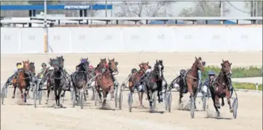  ??  ?? El Hipódromo de Son Pardo de Palma acogió la última carrera de trotones el pasado 12 de marzo.