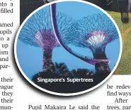  ??  ?? Singapore’s Supertrees