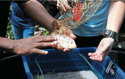  ??  ?? With the new farming method, villagers could now breed tilapia in their backyard.