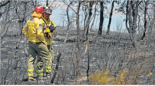  ?? NACHO IZQUIERDO / EFE ?? Zona afectada por el incendio en Humanes (Guadalajar­a).