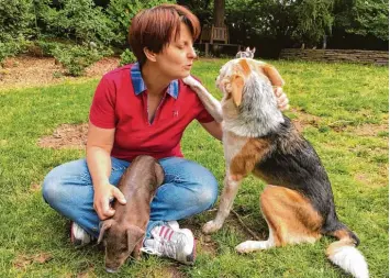  ??  ?? Sandra Langner spricht mit ihren Tieren: dem jüngsten Ferkel Sir Henry und ihrem Hund Faye.