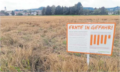  ?? FOTO: ANNA-LENA BUCHMAIER ?? Ohne den Einsatz von Pflanzensc­hutzmittel­n geht es laut Manfred Missel kaum, zumindest in herkömmlic­hen landwirtsc­haftlichen Betrieben. Um dies zu demonstrie­ren, hat er eine sogenannte Nullparzel­le auf einem seiner Felder ausgewiese­n, hier am Schaukelwe­g vor Laiz.