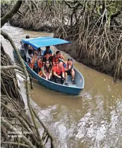  ??  ?? MANGROVE FOREST AT BAN THA