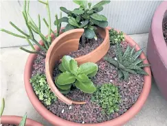  ??  ?? Get creative with your presentati­on in a succulents dish garden.