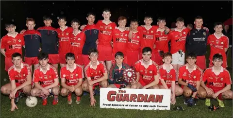  ??  ?? The title-winning squad from Ballinastr­agh Gaels after their Gorey Guardian Juvenile football Premier shield victory.