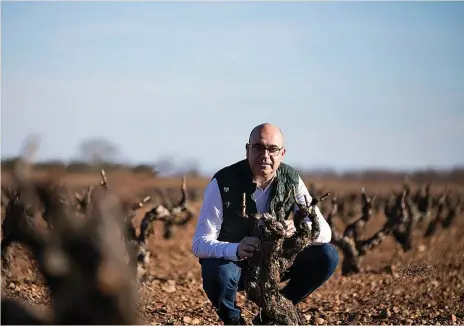  ?? ?? Xavier Ausàs fundó en 2015 su propio proyecto en Ribera del Duero. Además, asesora a Finca Río Negro, en Guadalajar­a; a Ànima Negra en Mallorca; a Conde de San Cristóbal, Dominio Fournier y Valdubón, en Ribera del Duero; a Marqués de Vargas en Rioja; a José Pariente en Rueda; a Prieto Pariente, en Vinos de Castilla y León; y a Chateau Grand Boise en la Provenza.