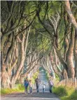  ?? FOTO: ART WARD ?? Dark Hedges in Ballymoney: Die mystisch anmutende Buchenalle­e führt in der Serie zur Burg Winterfell.