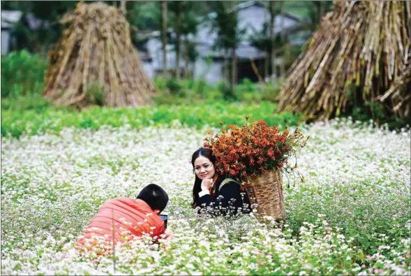  ?? NHAC NGUYEN/AFP ?? Tourists take photos in a field of flowering buckwheat in Dong Van district in northern Vietnam’s Ha Giang province, home to the Hmong ethnic minority.