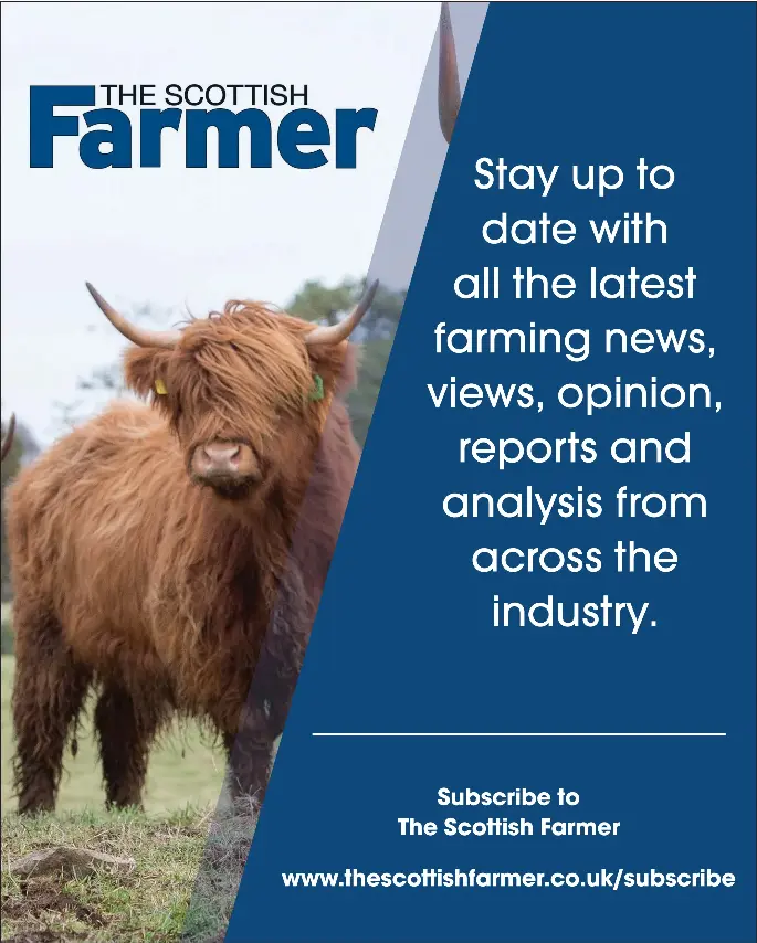 ‘It’s an obsession I can’t relax until I have got that shot