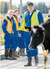  ?? Photo / Supplied ?? Student Teina McIntyre walking a cow into a paddock.