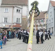  ?? FOTO: KARLHEINZ KIRCHMAIER ?? Die Mitglieder der Zimmergild­e der Katzenzunf­t stellen auf dem Marktbrück­le den Maibaum auf.