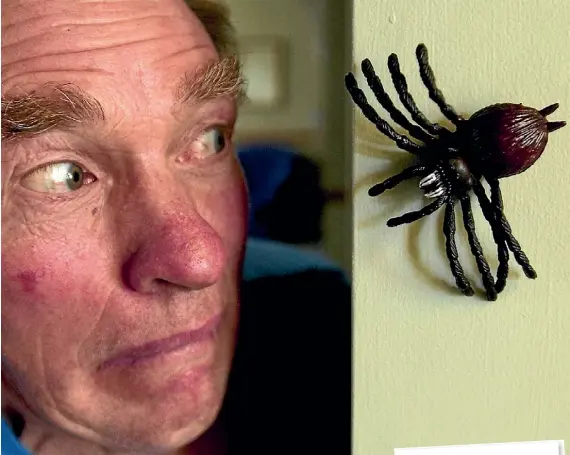  ?? JOHN BISSETT/STUFF ?? Spiders - a harmless fly catcher for some, a fearful beast for others.