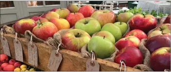  ??  ?? Apples have traditiona­lly been stored on wooden trays, with space between them for ventilatio­n