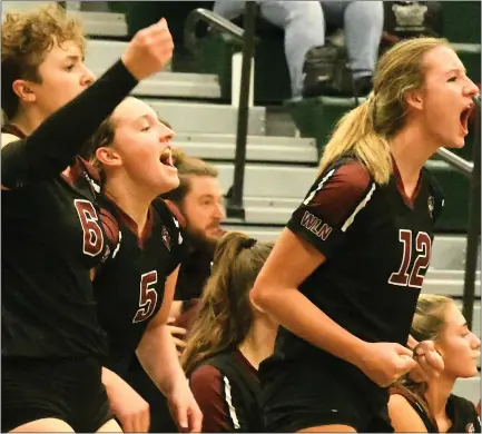  ?? MATTHEW B. MOWERY — MEDIANEWS GROUP ?? The Walled Lake Northern bench celebrates a 25-11, 25-10, 25-19win over West Bloomfield in a Division 1district opener on Tuesday.