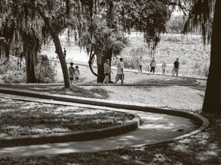  ?? Photos by Karen Warren / Staff photograph­er ?? Families walk on a trail near a fishing pier on 40 Acre Lake at Brazos Bend State Park in Needville. To book a weekend spot there, the park superinten­dent recommends reserving a day pass two to three weeks in advance.