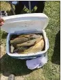  ?? DEEP / Contribute­d photos ?? The the Department of Energy and Environmen­tal Protection’s Environmen­tal Conservati­on Police have cited three men for “over bagging” carp from the Connecticu­t River in Cromwell issuing fines over $4,200, the agency said on Monday.