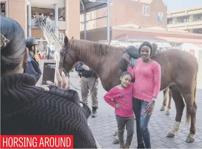  ?? Picture: Yeshiel Panchia ?? Members of the public meet a friendly SA Police Service horse in Sammy Marks Square in Pretoria yesterday.