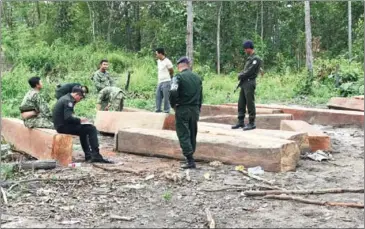  ?? SUPPLIED ?? Officials inspect seized timber after a bust on Saturday in Kampong Speu province.