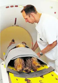  ?? BILD: TIERKLINIK OLDENBURG ?? Moderne Tiermedizi­n: Dr. Thorsten Kopp schiebt einen Hund in den Computer-Tomografen.