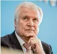  ??  ?? Bundesinne­nminister Horst Seehofer hatte dem Fall Sami A. höchste Priorität verordnet, er wollte ihn abschieben und verteidigt­e das Vorgehen stets.