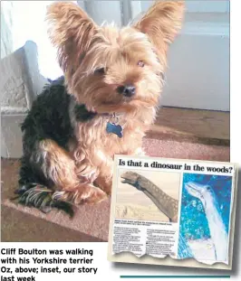  ??  ?? Cliff Boulton was walking with his Yorkshire terrier Oz, above; inset, our story last week