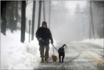  ?? CATHERINE AVALONE- THE NEW HAVEN REGISTER ?? A Ridge Road resident takes his two dogs for a walk walk in Middletown during the blizzard,Tuesday.