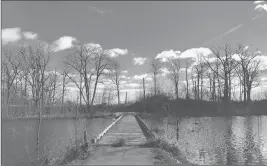  ??  ?? In this week’s Nature column, Peter Marteka describes visits to abandoned golf courses reclaimed by Mother Nature and now open to the public as nature preserves. An old cart bridge crosses a swamp at the abandoned Pistol Creek Golf Course in Middletown.