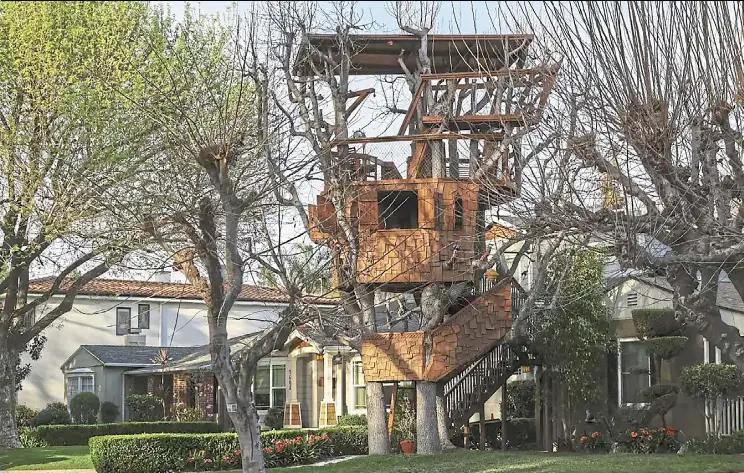 Saving a treehouse - PressReader