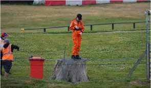  ?? Photos: Paul Lawrence, Steve Jones, Richard Styles ?? Who says that marshals don’t grow on trees? We have the evidence