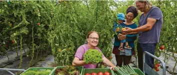  ??  ?? Für „Solidarisc­he Landwirtsc­haft“setzen sich Bruno Marcon, Jana Linzenkirc­hner mit Sohn Albert und Armin Salzmann (von links) ein. Das Projekt bringt kleine bäuerliche Betriebe mit Kunden zusammen.