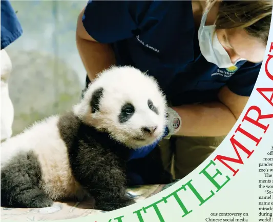  ?? Photos: AFP ?? From top: Panda cub Xiao Qi Ji at 3 months and 6 weeks old at the Smithsonia­n’s National Zoo in Washington DC
