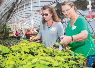  ?? WILLIAM HARVEY/THREE RIVERS EDITION ?? White County Master Gardeners LuLynn Keathley-Richardson of Beebe, left, and Marilyn Sims of Searcy water the plants that are being stored at the Searcy High School greenhouse. The local Master Gardeners will have a plant sale from 8 a.m. to 2 p.m....