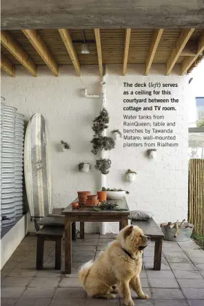  ??  ?? The deck (left) serves as a ceiling for this courtyard between the cottage and TV room. Water tanks from RainQueen; table and benches by Tawanda Matare; wall-mounted planters from Rialheim