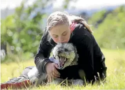  ?? PHOTO: KEVIN STENT/STUFF ?? Holly Reed, 15, pictured with her dog, has been the victim of bullying at Wellington East Girls’ College.